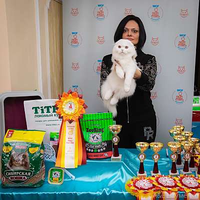 �������� ����� 19-20.12.2020 ���������� 3-52-0034.jpg