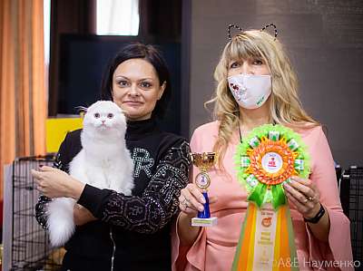 �������� ����� 19-20.12.2020 ���������� 1-52-0260.jpg