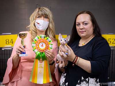 �������� ����� 19-20.12.2020 ���������� 2-114-0261.jpg