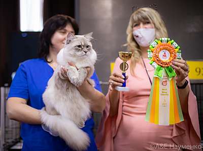 �������� ����� 19-20.12.2020 ���������� 3-61-0272.jpg