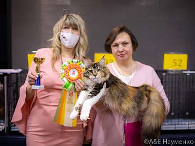 �������� ����� 19-20.12.2020 ���������� 5-17-0264.jpg