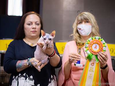 �������� ����� 19-20.12.2020 ���������� 6-122-0273.jpg