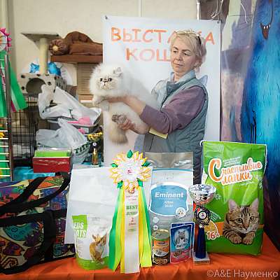 �������� ����� 20-21.03.2021 ���������� 10-32-0239..jpg