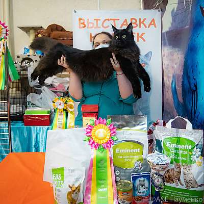 �������� ����� 20-21.03.2021 ���������� 17-15-0210..jpg