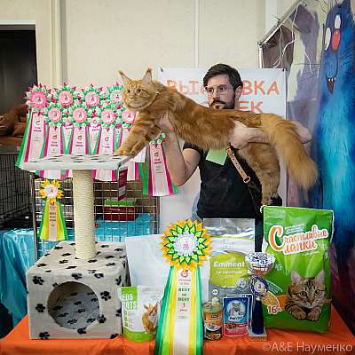 �������� ����� 20-21.03.2021 ���������� 3-107-0260..jpg