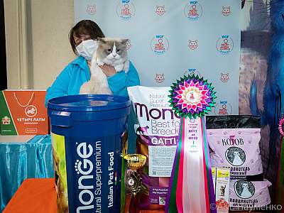 �������� ����� 20-21.03.2021 ���������� 1-33-0499.jpg