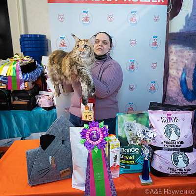 �������� ����� 20-21.03.2021 ���������� 16-9-0439.jpg