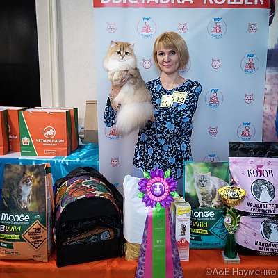 �������� ����� 20-21.03.2021 ���������� 6-111-0483.jpg