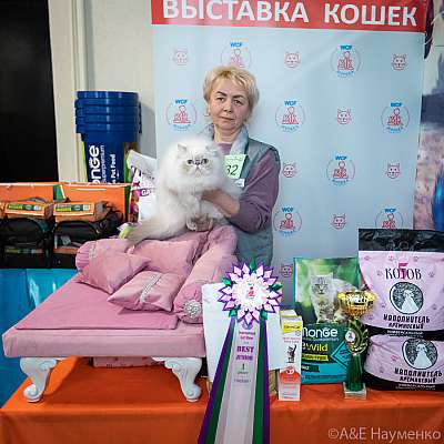 �������� ����� 20-21.03.2021 ���������� 8-32-0471.jpg