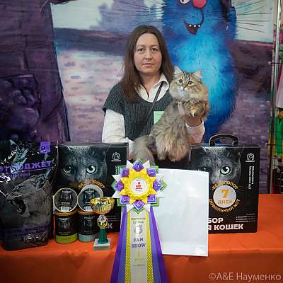 �������� ����� 20-21 ����� 2021 �., ������������ � ������ ���.