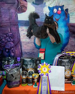 �������� ����� 20-21.03.2021 ���������� 9-15-0164.jpg