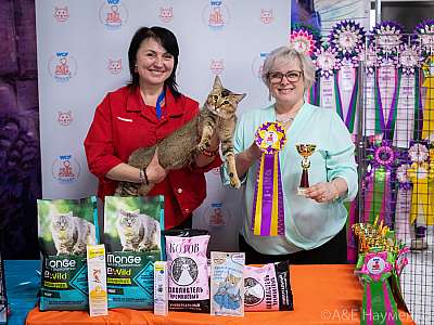 �������� ����� 20-21 ����� 2021 �., ������������ � ������ ���.