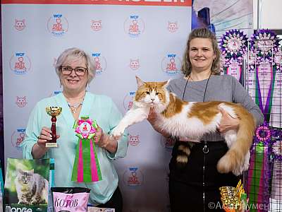 �������� ����� 20-21.03.2021 ���������� 2-26-0414.jpg