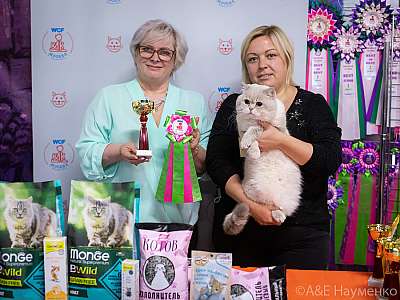 �������� ����� 20-21.03.2021 ���������� 3-113-0415.jpg