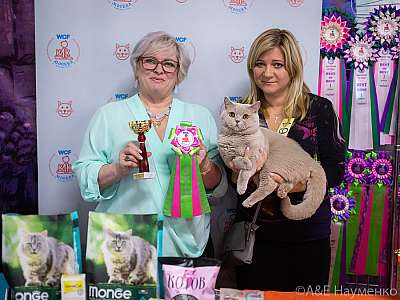 �������� ����� 20-21.03.2021 ���������� 4-61-0418.jpg