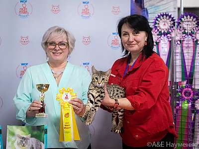 �������� ����� 20-21.03.2021 ���������� 5-77-0421.jpg