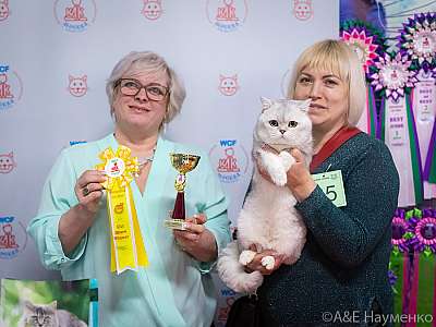 �������� ����� 20-21.03.2021 ���������� 6-85-0417.jpg