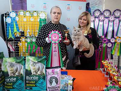 �������� ����� 20-21 ����� 2021 �., ������������ � ������ ���.