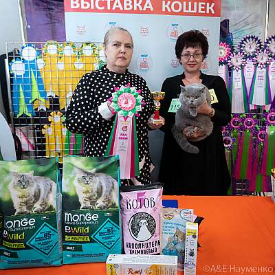 �������� ����� 20-21.03.2021 ���������� 2-50-0301.jpg