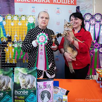 �������� ����� 20-21.03.2021 ���������� 3-65-0302.jpg