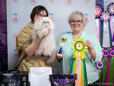 �������� ����� 20-21 ����� 2021 �., ������������ � ������ ���.