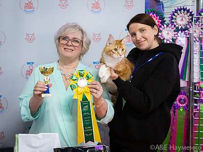 �������� ����� 20-21.03.2021 ���������� 4-2-0370.jpg