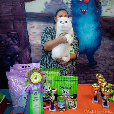 �������� ����� 20-21 ����� 2021 �., ������������ � ������ ���.