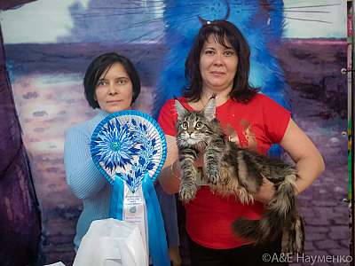 �������� ����� 20-21.03.2021 ���������� 10-16-0141.jpg