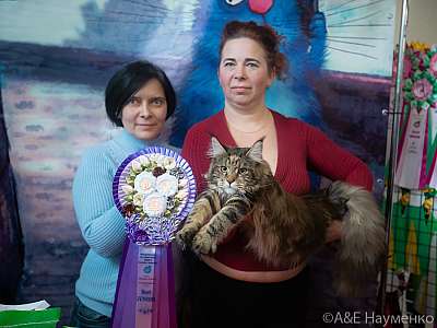 �������� ����� 20-21.03.2021 ���������� 4-8-0137.jpg