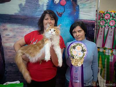 �������� ����� 20-21.03.2021 ���������� 6-3-0138.jpg