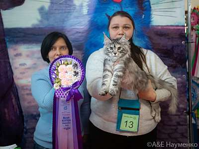 �������� ����� 20-21.03.2021 ���������� 7-13-0095.jpg