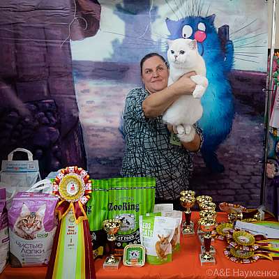 �������� ����� 20-21 ����� 2021�. WCF-�����