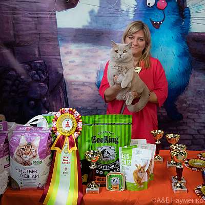 �������� ����� 20-21.03.2021 ���������� 8-61-0050.jpg