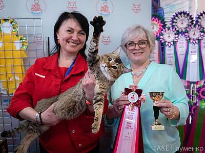 �������� ����� 20-21.03.2021 ���������� 2-65-0327.jpg