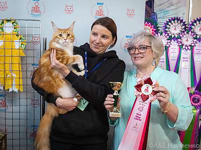 �������� ����� 20-21.03.2021 ���������� 3-2-0330.jpg