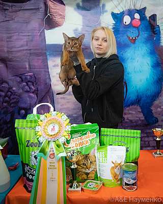 �������� ����� 20-21 ����� 2021 �. WCF-�����