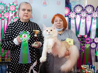 �������� ����� 20-21.03.2021 ���������� 2-4-0278.jpg