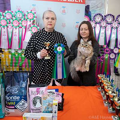 �������� ����� 20-21.03.2021 ���������� 3-38-0280.jpg