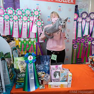 �������� ����� 20-21.03.2021 ���������� 5-75-0284.jpg