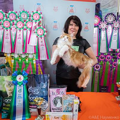 �������� ����� 20-21.03.2021 ���������� 7-3-0292.jpg