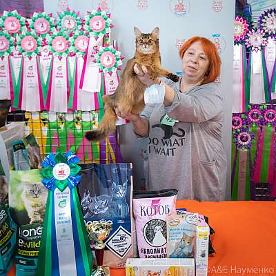 �������� ����� 20-21.03.2021 ���������� 8-42-0293.jpg