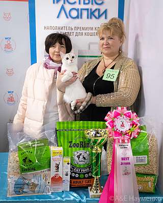 �������� 10-11.04.2021 ���������� 7-95-0177-100421.jpg