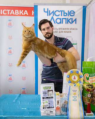 �������� 10-11.04.2021 ���������� 3-6-0373-110421.jpg