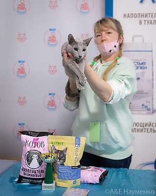 �������� ����� 10-11 ������ 2021 �., ������������ � ������ ���.