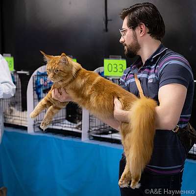 �������� 10-11.04.2021 ���������� 7-6-0334-110421.jpg