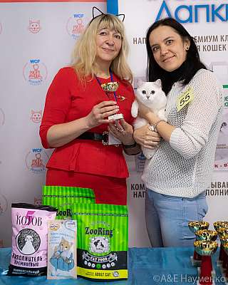 �������� 10-11.04.2021 ���������� 8-55-0280-110421.jpg