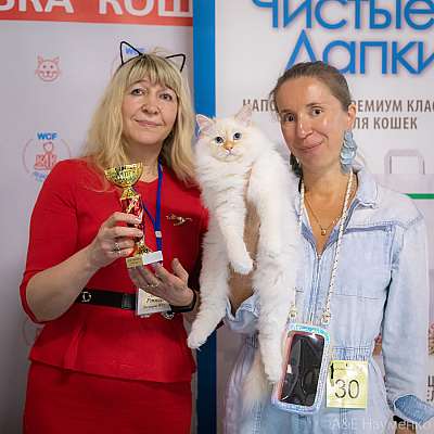 �������� ����� 10-11 ������ 2021 �., ������������ � ������ ���.