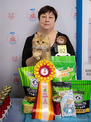 �������� 10-11.04.2021 ���������� 2-62-0133-100421.jpg