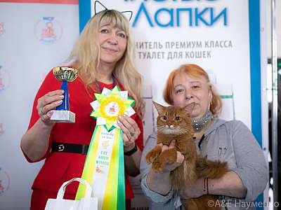 �������� 10-11.04.2021 ���������� 10-36-0235110421.jpg