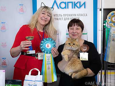 �������� 10-11.04.2021 ���������� 3-62-0229-110421.jpg